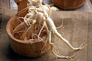 fresh american ginseng