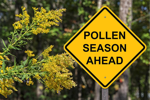 Curist Blog | Spring Allergy & Pollen Allergies