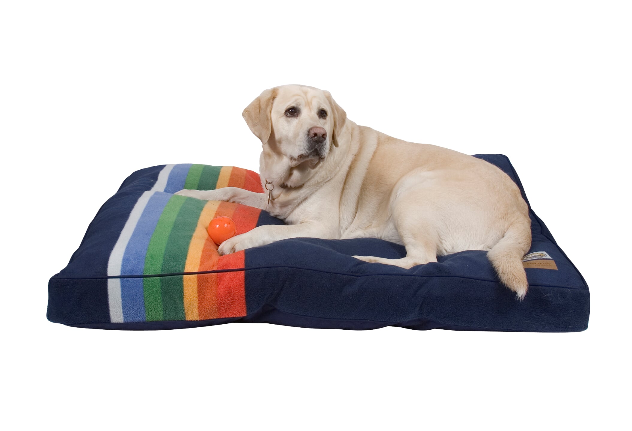 pendleton dog bed