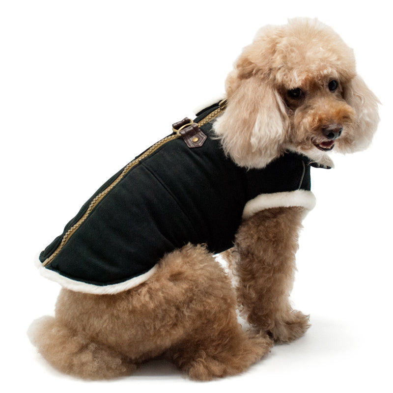 full coverage dog coats