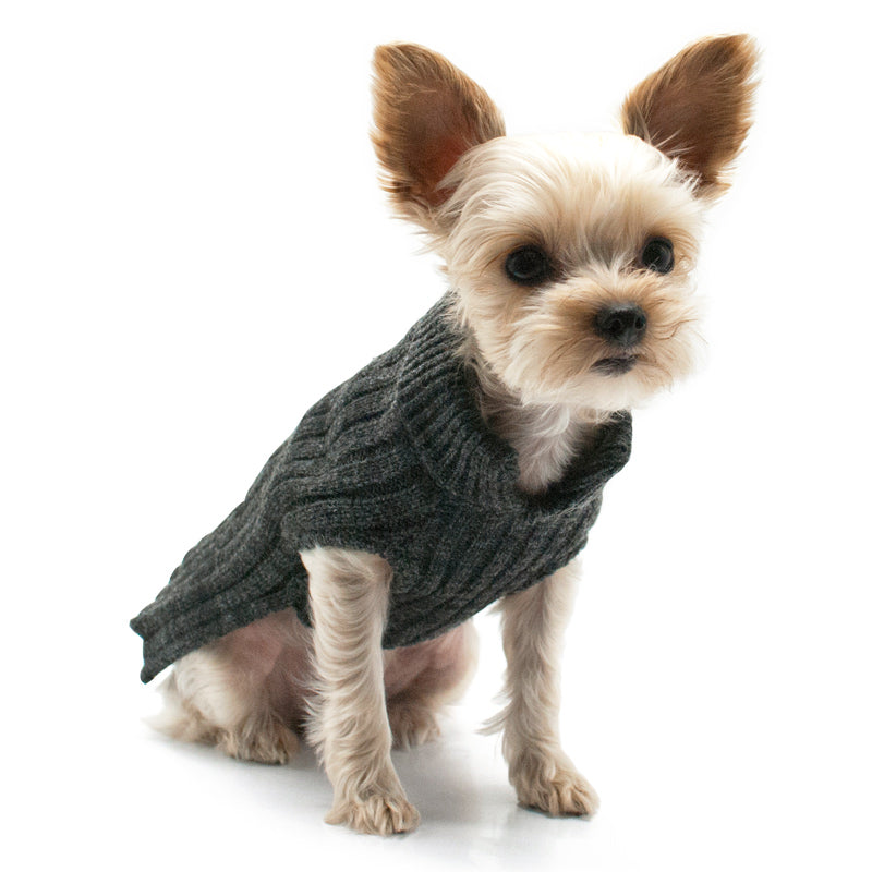 luxury dog clothes