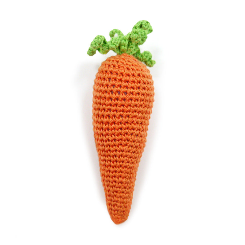 squeaky carrot dog toy