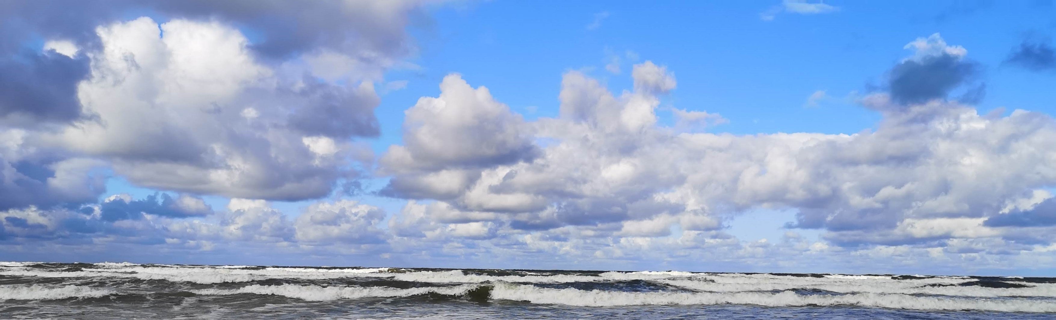 Watching the horizon might help with seasickness when down below the deck tamed winds t-shirt shop and sailing blog