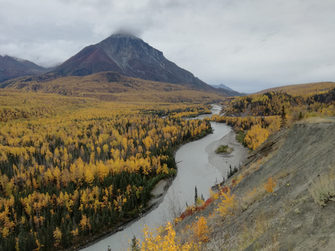 alaska, travel tips, campervan, vanlife, tamed winds blog, tamedwinds