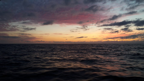 Volvo Ocean Race, VOR 60, Baltic sea, Sailing, Amber Sail, assa abloy, sunset, Tamed Winds t-shirt shop