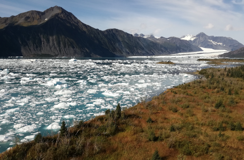 bear glacier alaska, travel tips, campervan, vanlife, tamed winds blog, tamedwinds