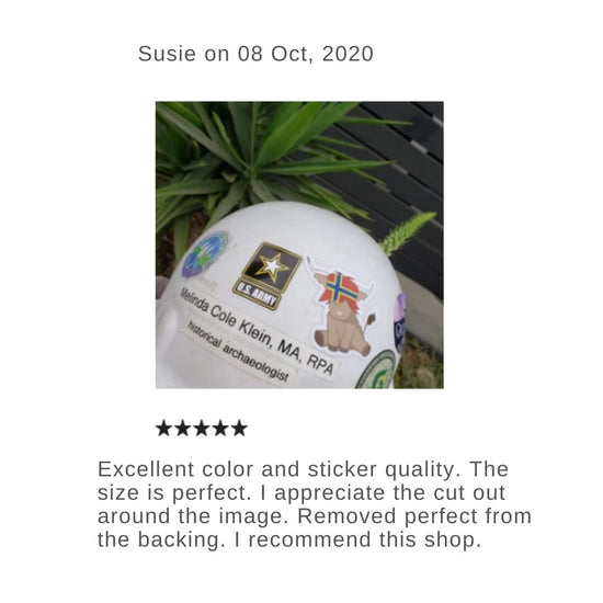 customer review of the shetland highland cow sticker