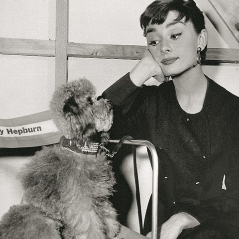 Audrey Hepburn, credit: unknown photographer