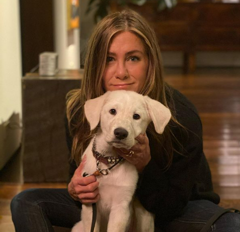 Jennifer Aniston and Lord Chesterfield