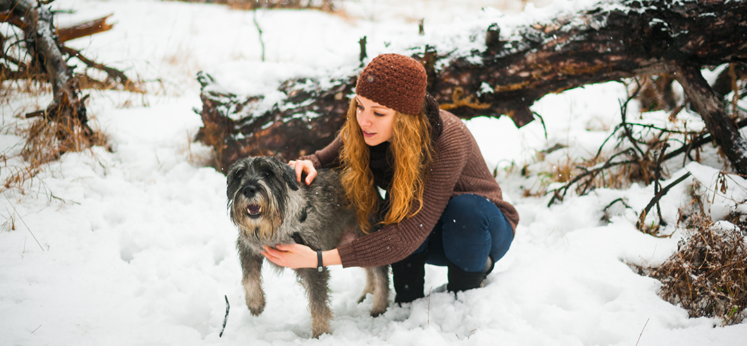 woman with dog in the snow in front of tree