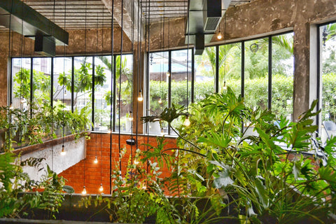 Plantr planters Cape Town South Africa Office Plants indoor plants houseplants sustainable architecture