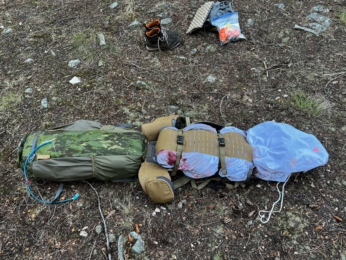 Hauling a Bear with a Prototype Crib and Frame