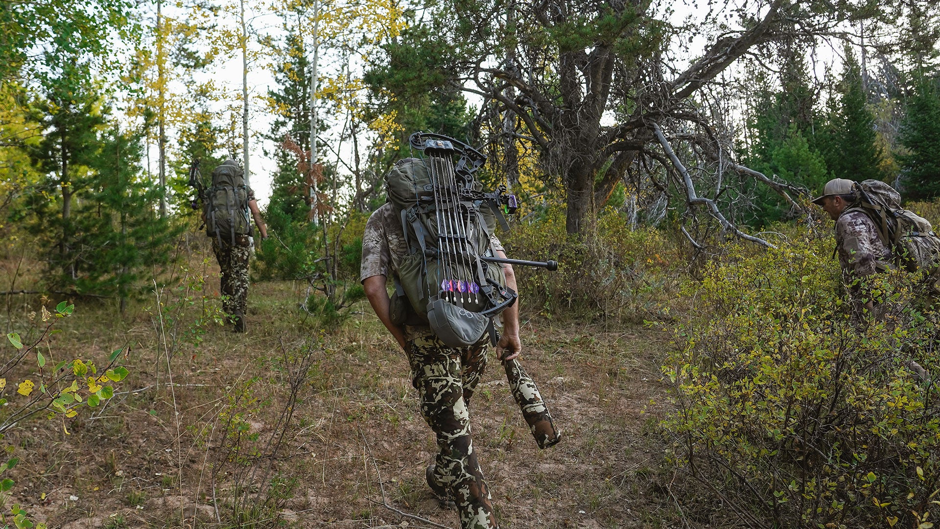 Hunters Moving After Elk Bugle