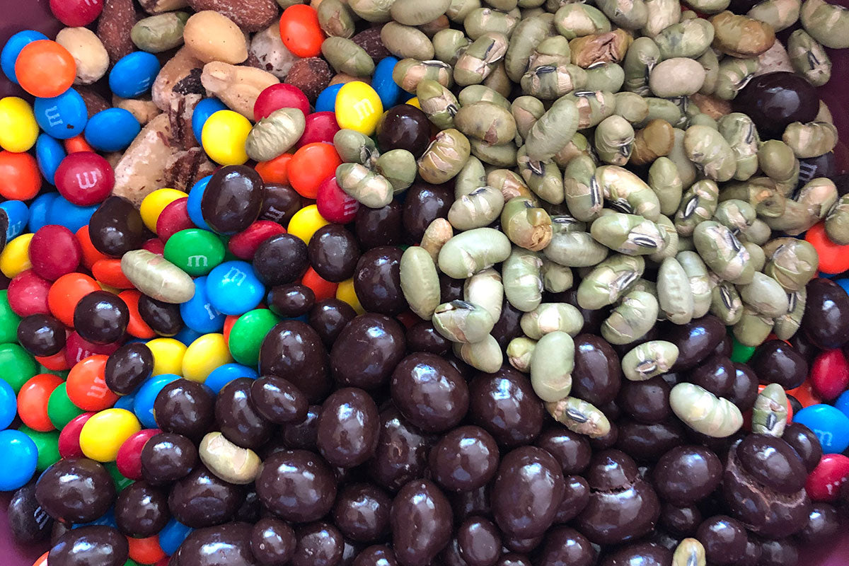 Ingredients of Homemade Trail Mix