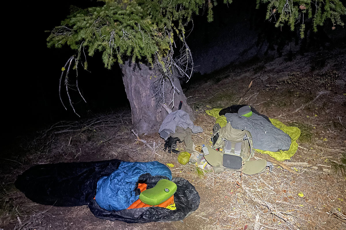 Bivy Camp Under A Tree