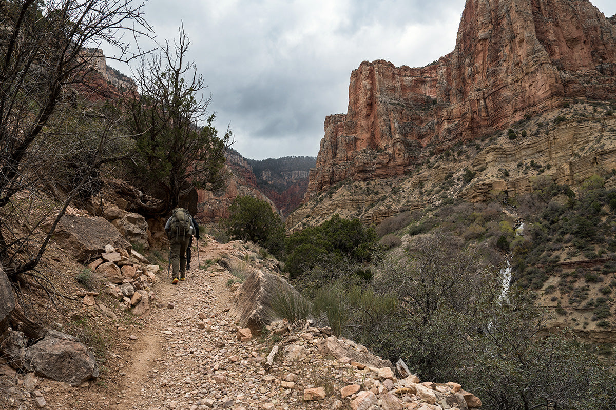 Ascending to the North Rim of the Grand Canyon