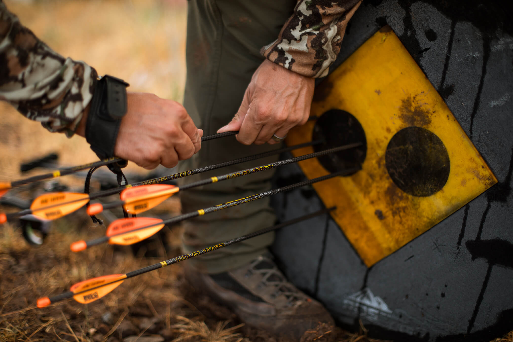 Pulling Arrows from the Practice Target