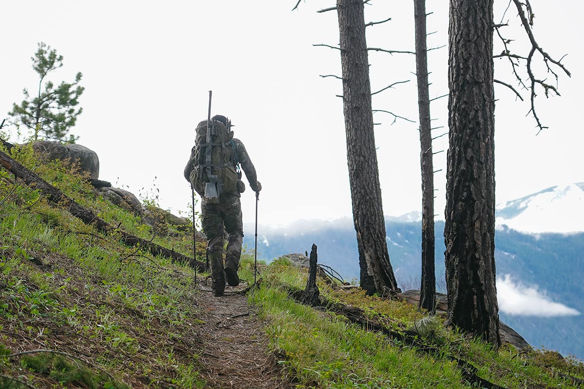 Hiking in Bear Country