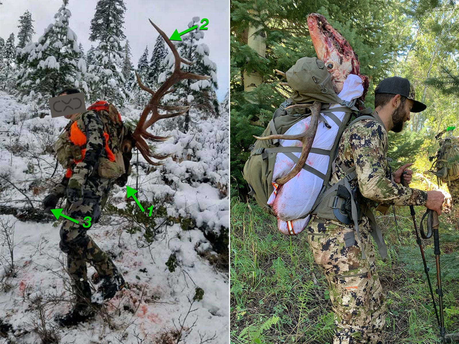 Elk Packout Comparison