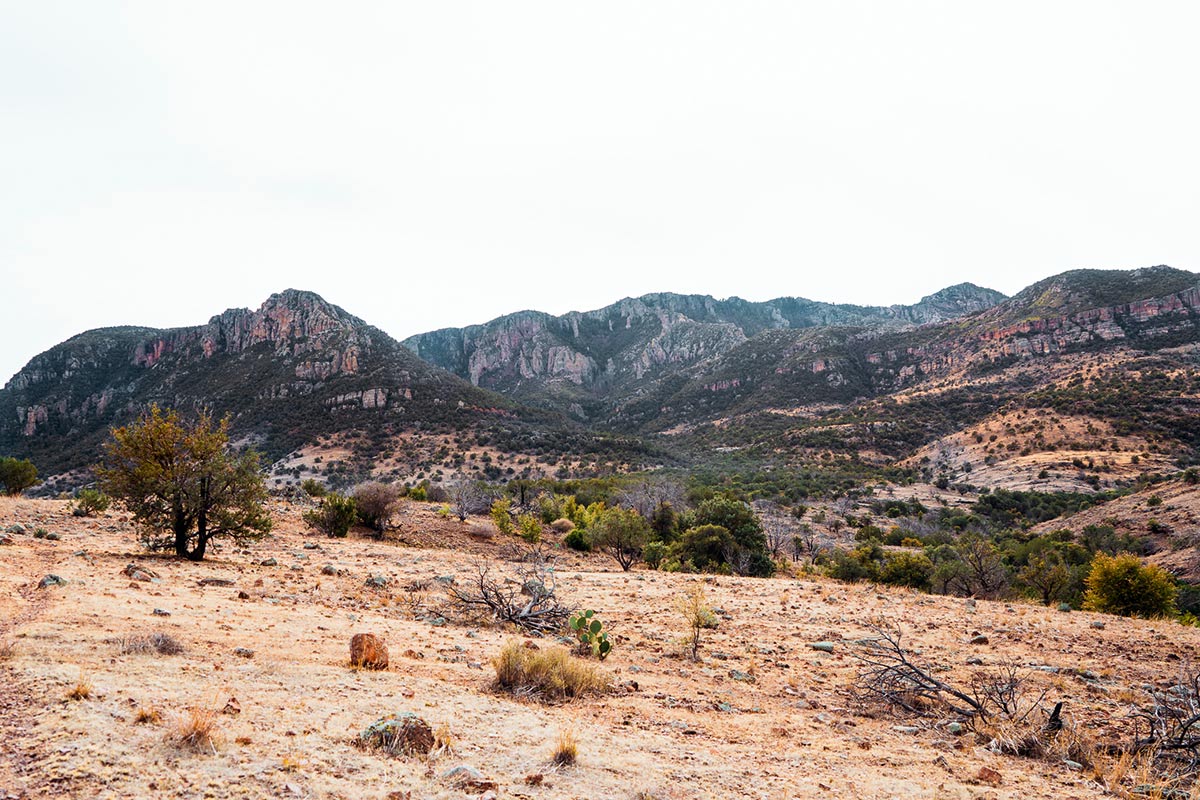 The Arizona Landscape