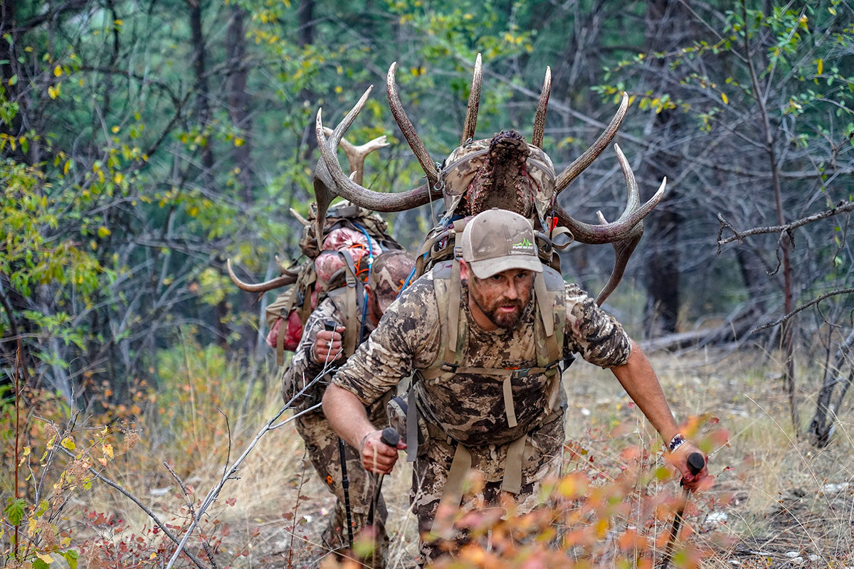 Hunter Packing-Out A Bull Off-Trail