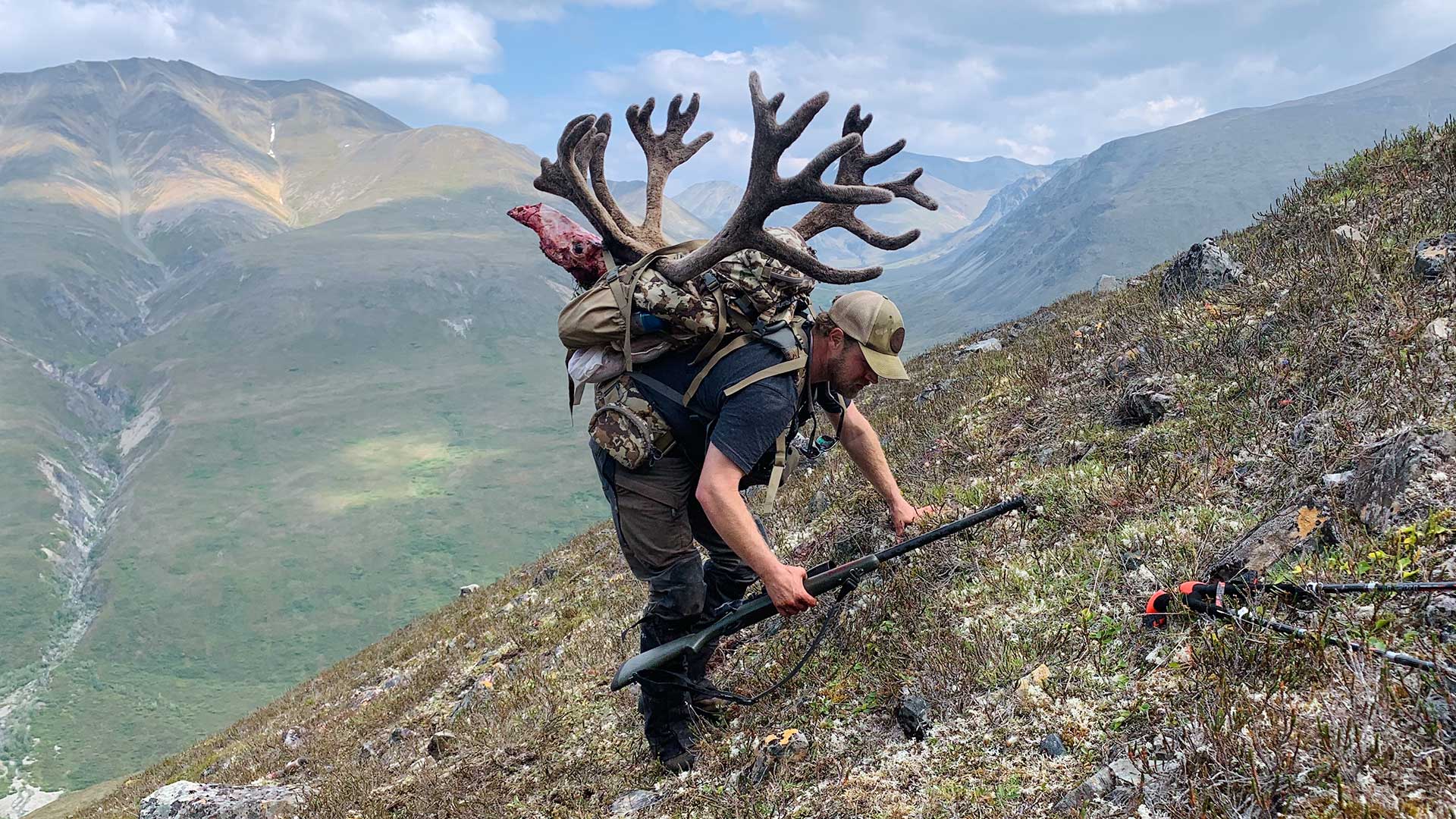 Hunter with Caribou Bull in Velvet