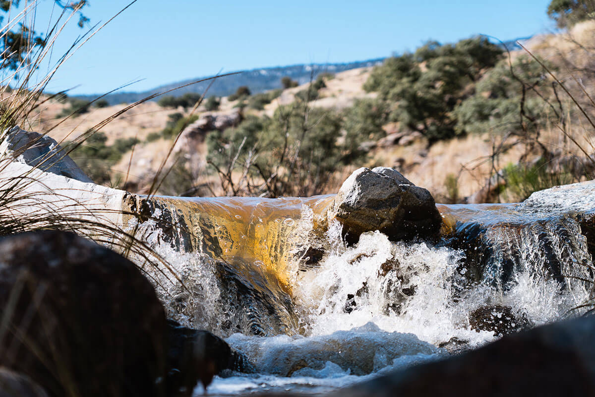 Water Flowing In The Desert