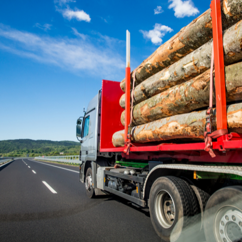 Global Supply & Timber Shortage 2021: truck with logs on it