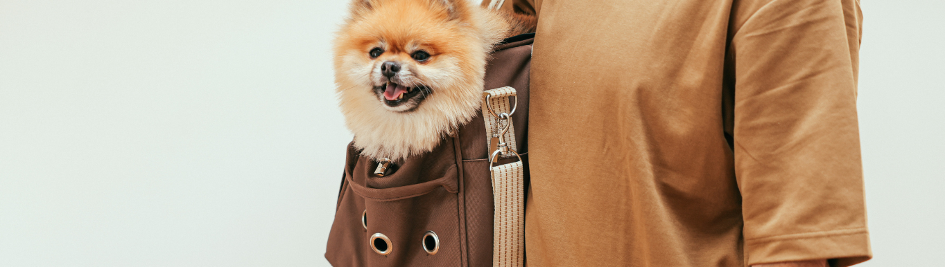 Bolsas de transporte para chihuahuas