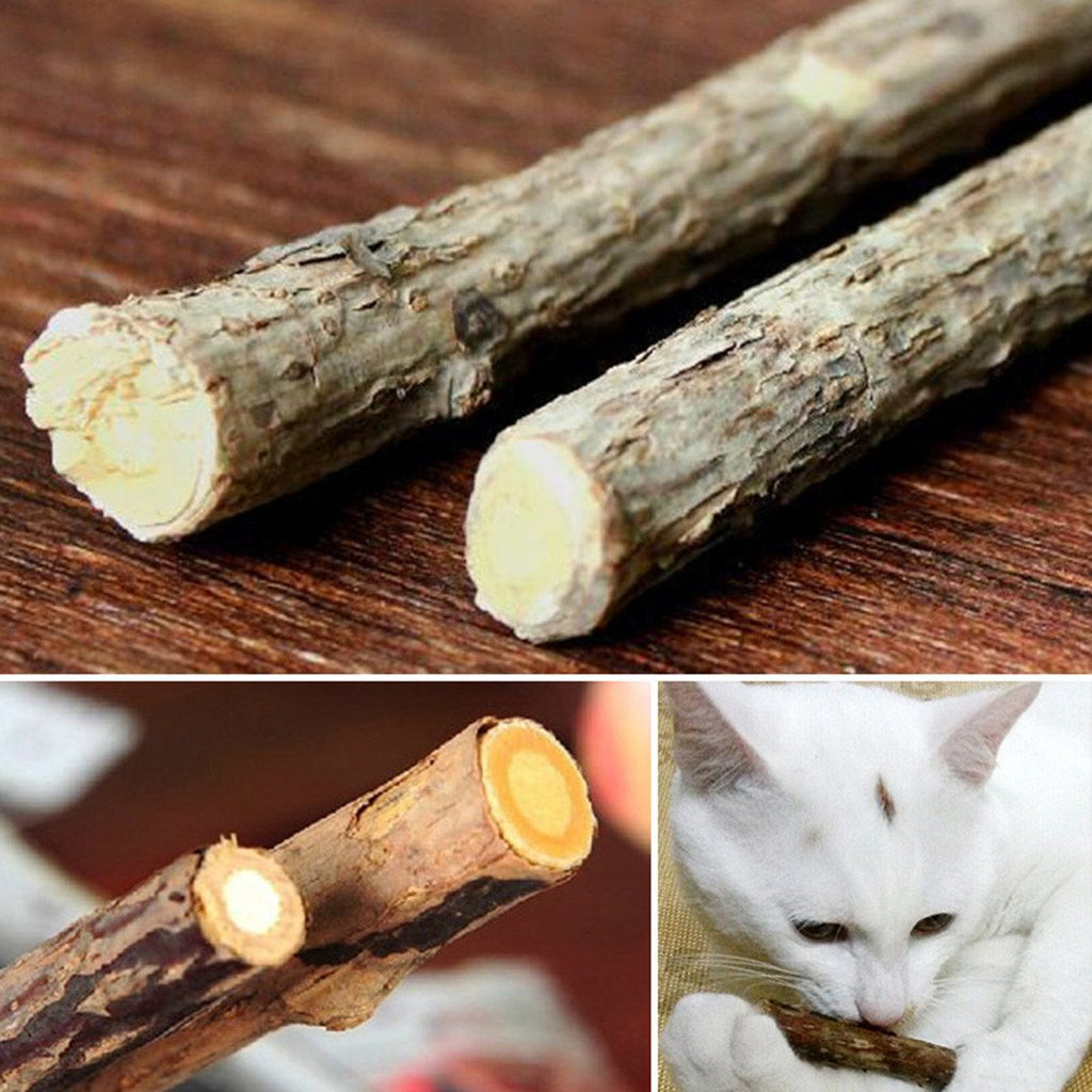 Product Kat Snacks Stick Cleaning Tanden Sticks Catnip – Shopcoholik NL