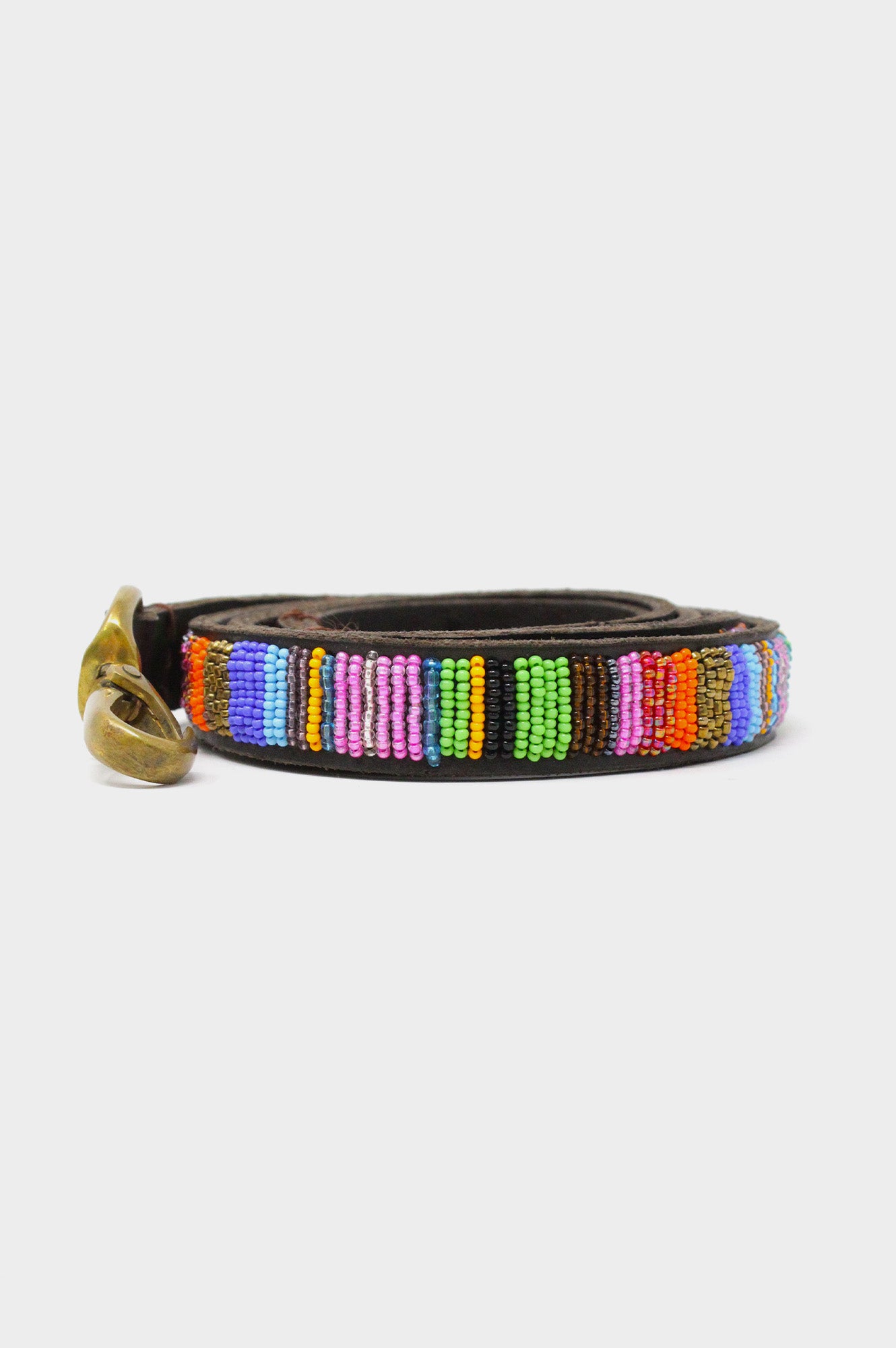 Dog Lead | Multishine on Coffee Leather