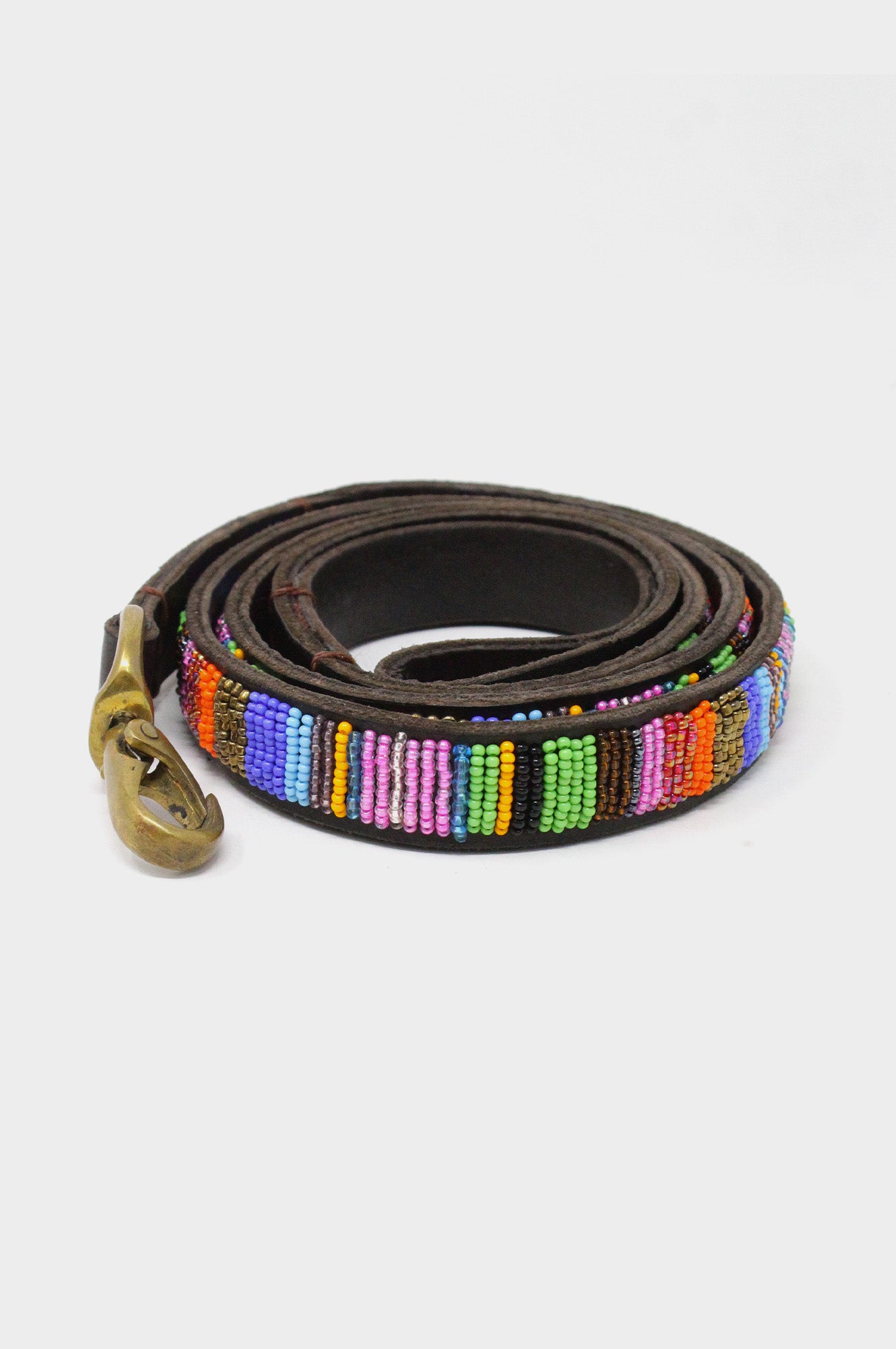 Dog Lead | Multishine on Coffee Leather