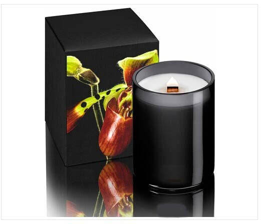 AuraDecor Black Glass Wood Wick Fragrance Candle ( Soy Wax )