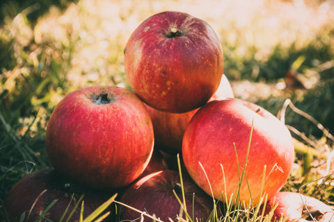 Fall-in-New-England-apples