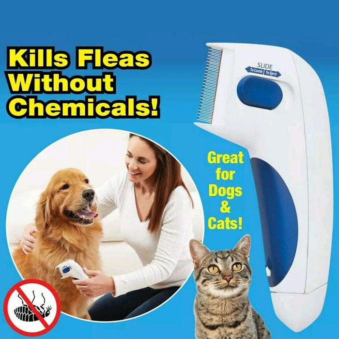 guaranteed flea killer for dogs