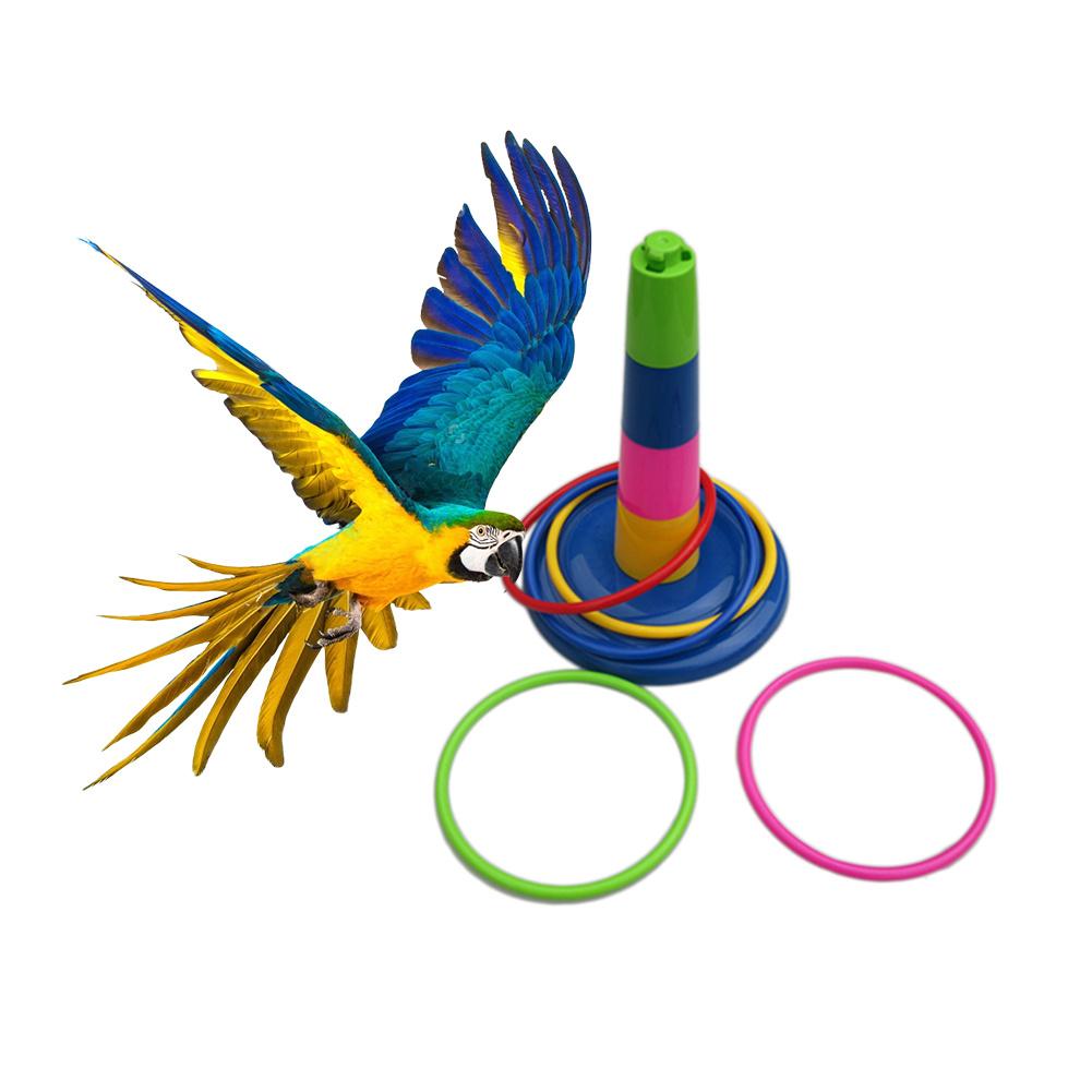 parrot bird toys