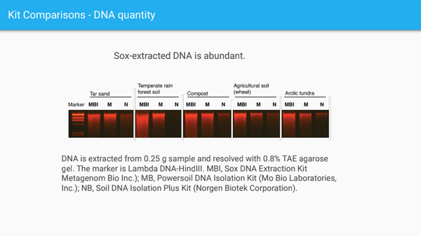 gel-electrophoresis-DNA-quantity