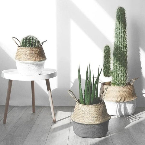 New Rattan Seagrass Wicker Basket Pot from Almas Collections