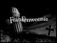 Frankenweenie (1984) Still - Directed by Tim Burton