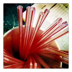 Curio & Co. considers the old time nostalgia of striped straws. Curio and co. www.curioandco.com