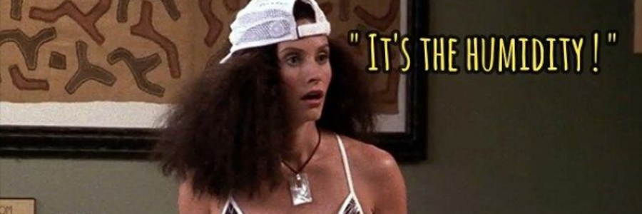 Image of Monica Geller from Friends saying "It's the Humidity!"