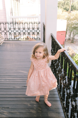 netti ruffle smocked dress charlotte sy dimby smocked dress child photography