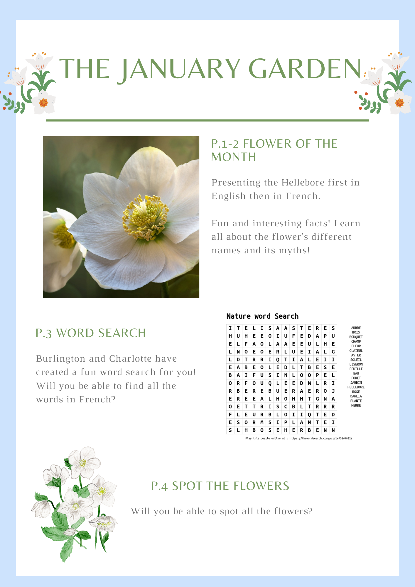 Fun facts about flowers for children - Learn all about the hellebore - Charlotte and Burlington family club
