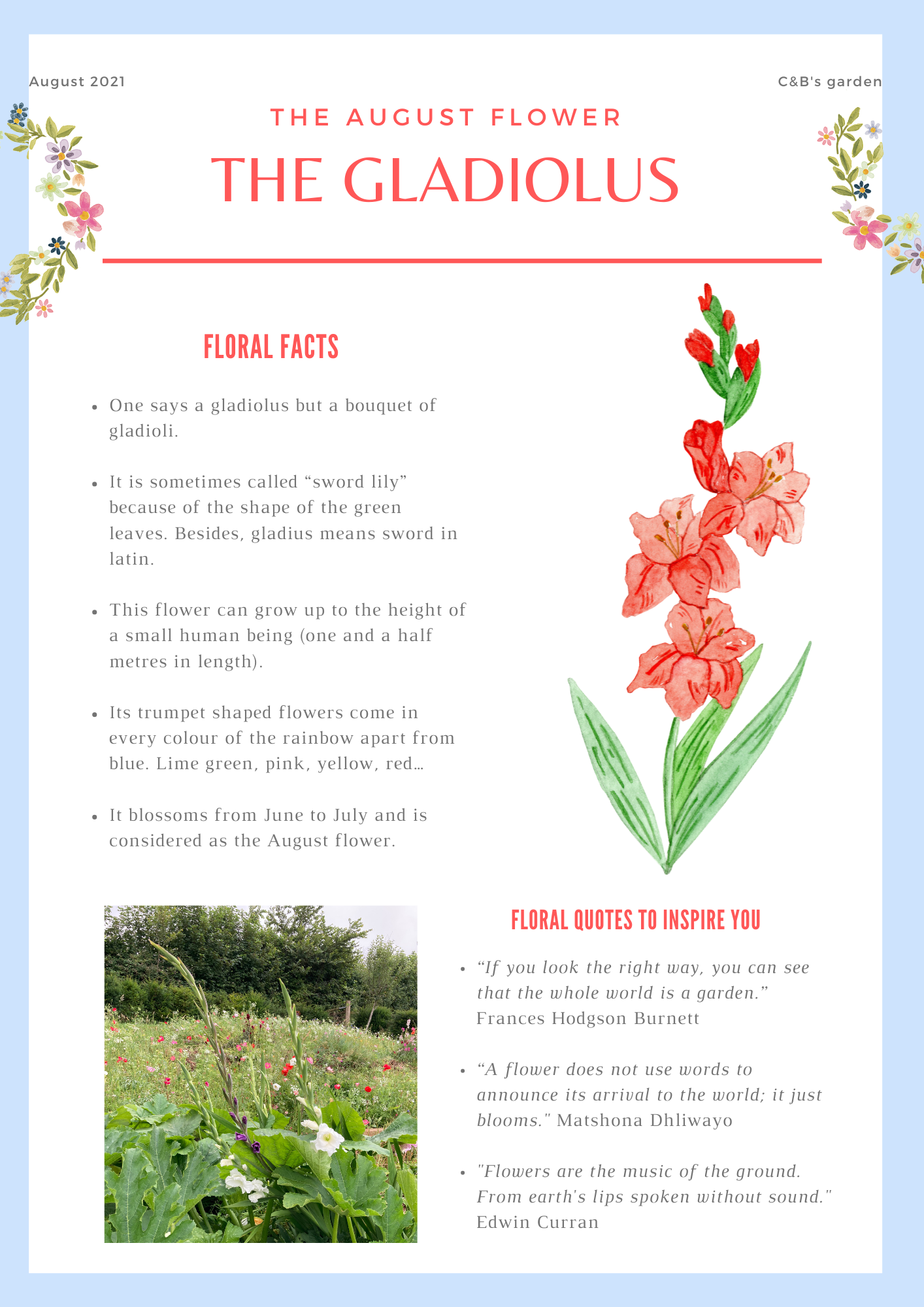 Charlotte and Burlington's floral garden- Family club - Learn with fun - All about the gladioli