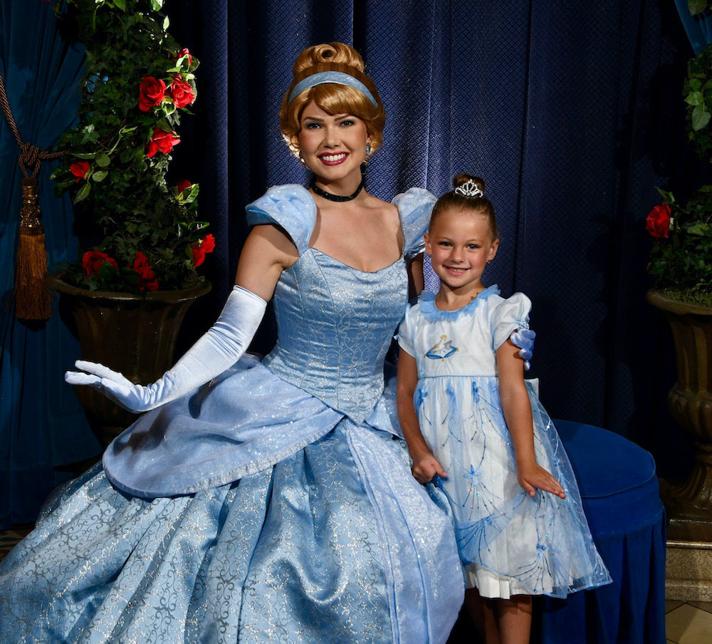 Cinderella princess glass slipper Disney Magic Kingdom party handmade high quality dress for little girls children clothing Charlotte sy Dimby sky blue