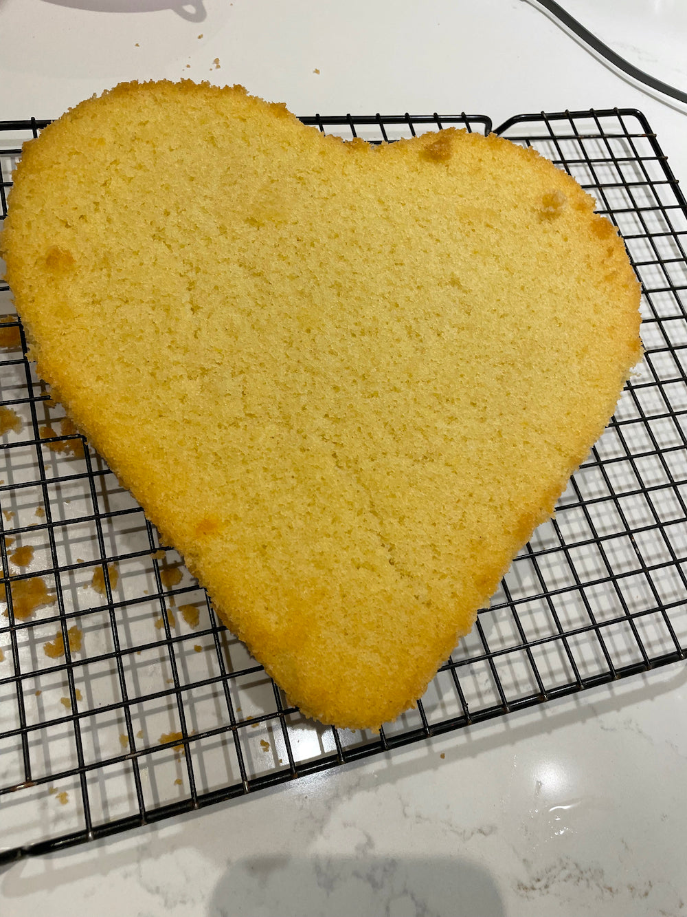 Charlotte and Burlington Valentine's French and British love cake recipe for families and children - DIY cooking activity