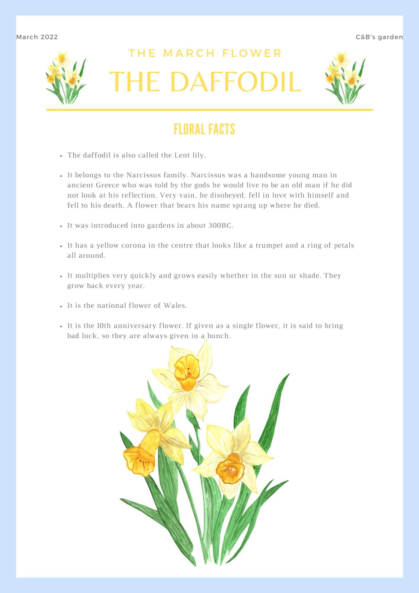 Fun facts about flowers for children - Learn all about the daffodil - Charlotte and Burlington family club
