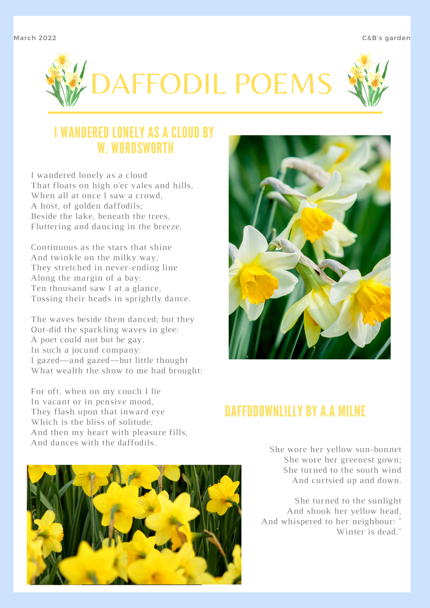 Fun facts about flowers for children - Learn all about the daffodil - Charlotte and Burlington family club poems