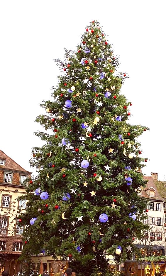 Sapin de Noël place Kléber - Alsace