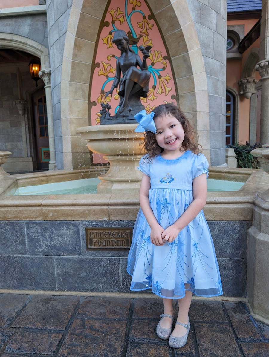 Cinderella royal's table disney world family trip what to wear princess dress tips and advice for family